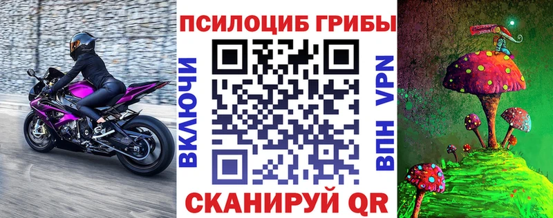 Галлюциногенные грибы Psilocybine cubensis  купить   Родники 