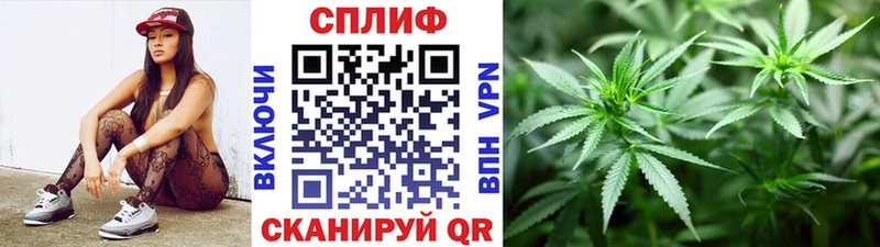 где продают наркотики  Родники  Бошки марихуана конопля 